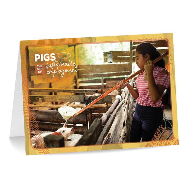 PIGS  | The gift of sustainable employment