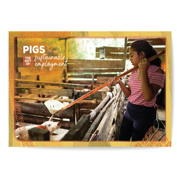 PIGS  | The gift of sustainable employment